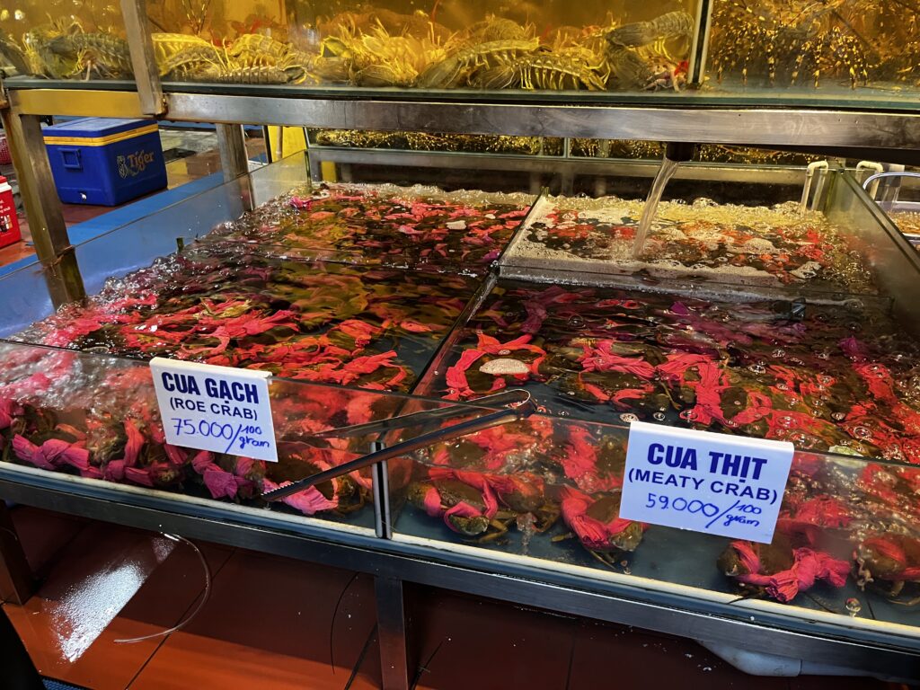 MỘC QUÁNの生簀